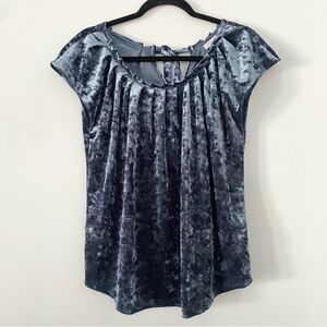 Nwot Lauren Conrad blue velvet short sleeve blouse women’s size M